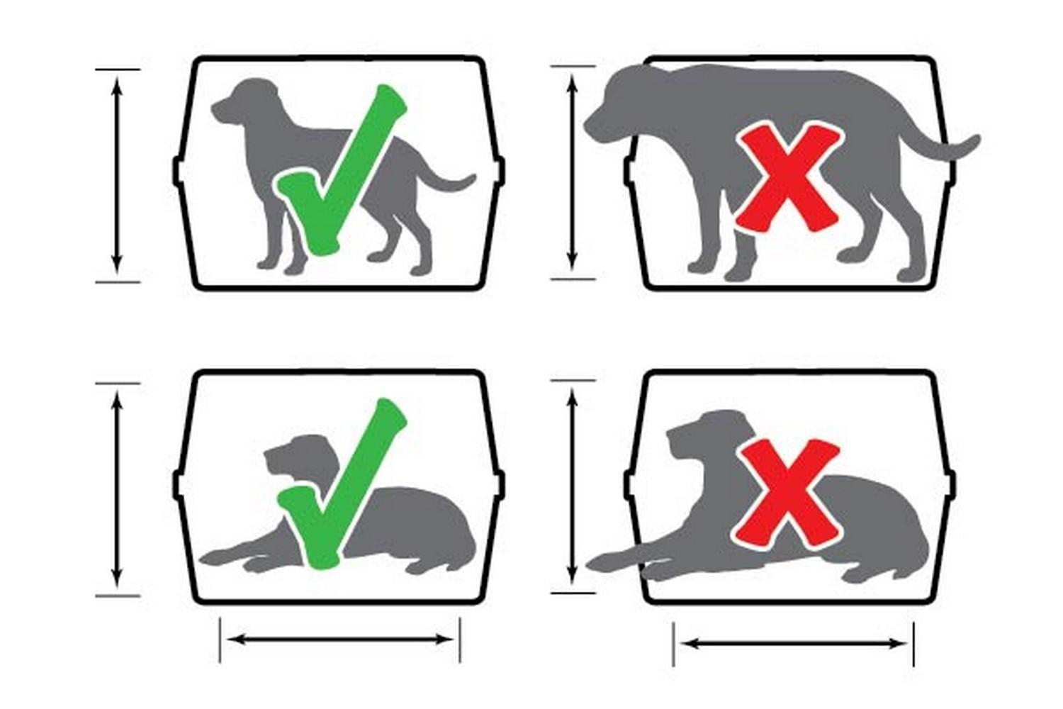 MPS Skudo IATA 6 dog carrier measures: 92x63x70 plane