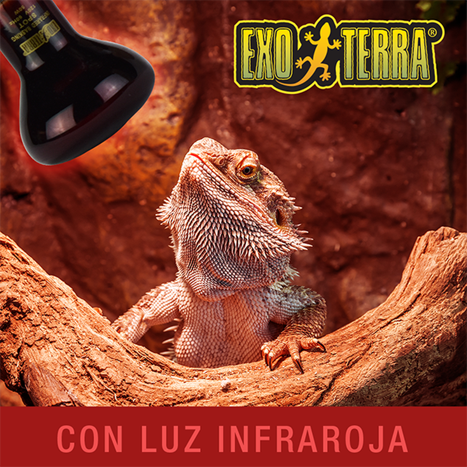 Exo Terra foco para terrario reptiles Infrarrojo Heat Glo 50w