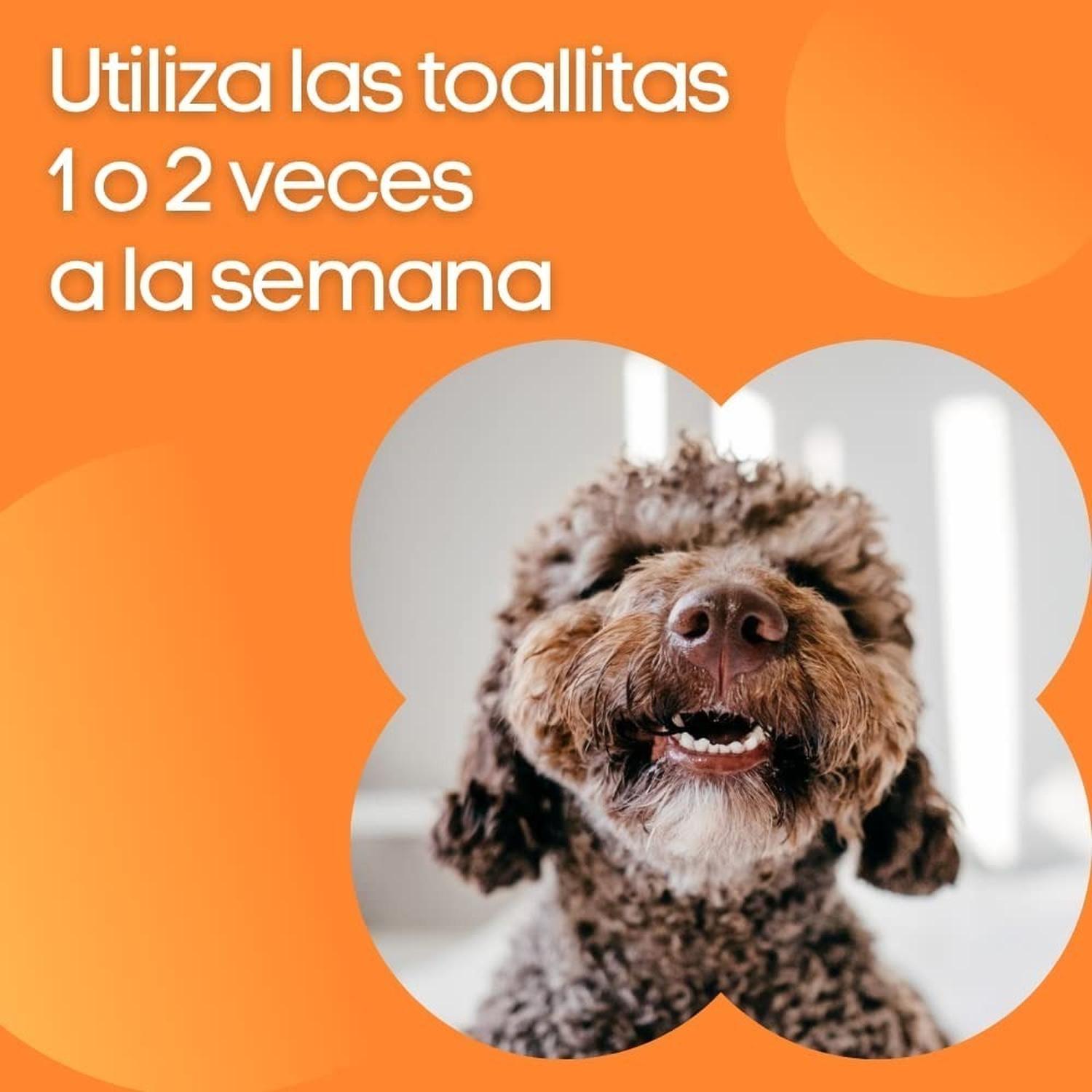 Fancy Pets Toallas Dentales Para Perros disminuye sarro