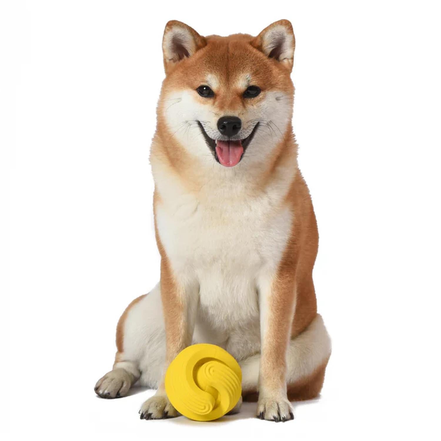 Arm & Hammer Rock'N Roller Juguete pelota rellenable perro