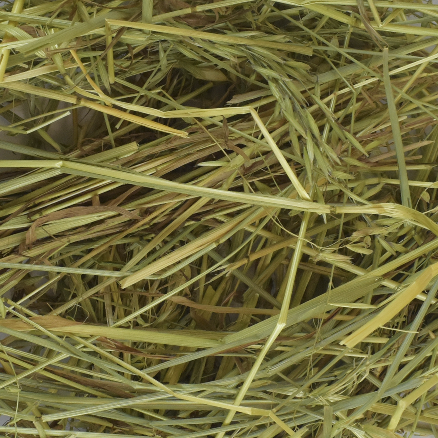 Redkite oat hay whose rabbit chinchilla rodent 500 grs