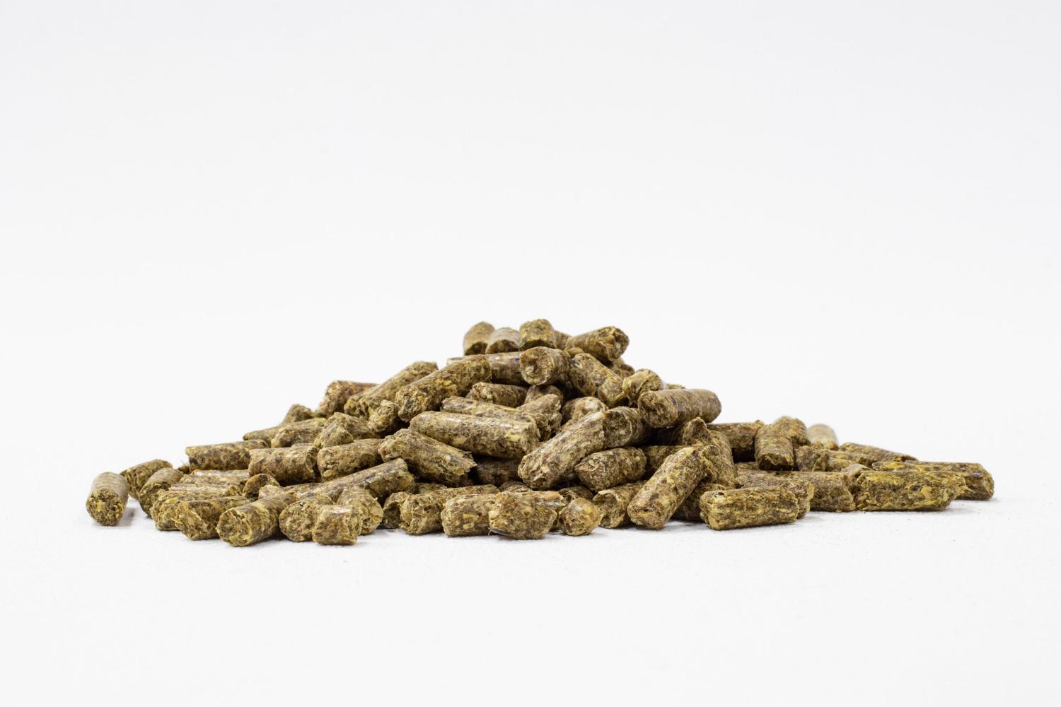 Mazuri Alimento para chinchilla cualquier etapa 1.3kg