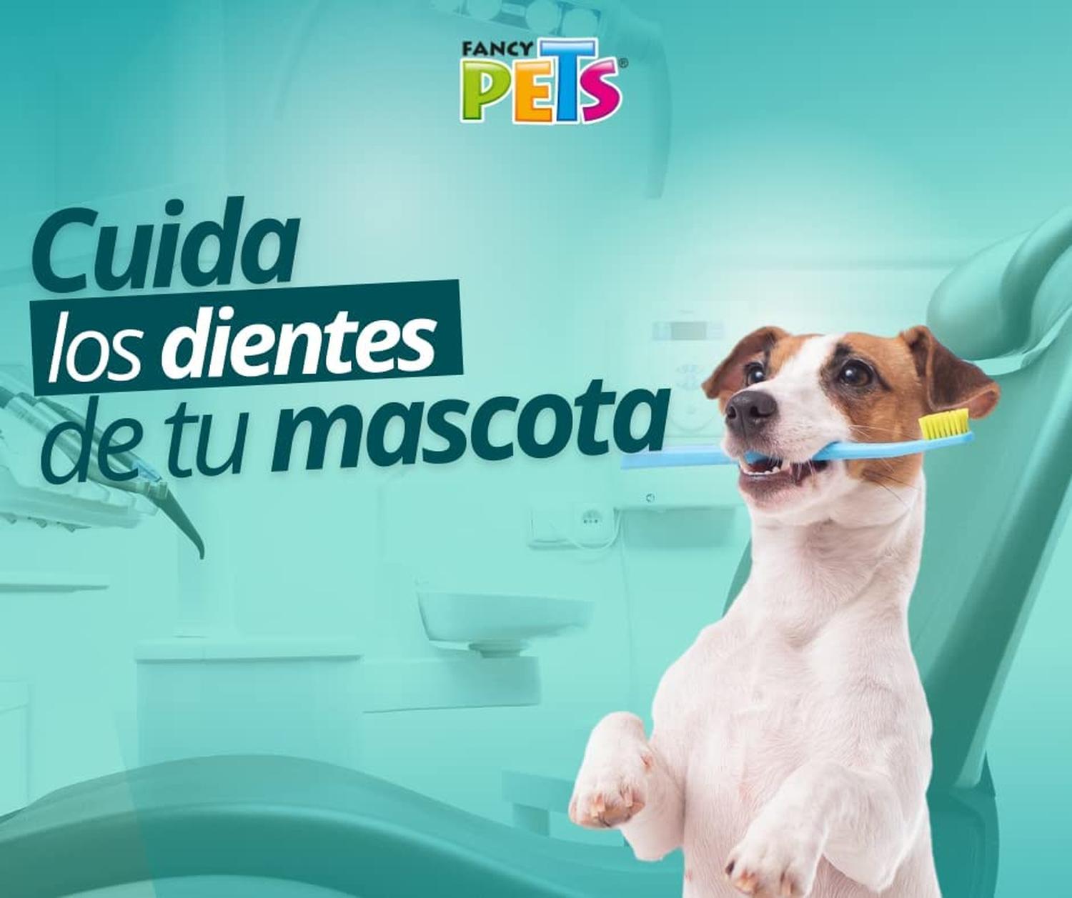 Kit Dental Pasta Y Cepillo Para Perros De Todas Las Edades