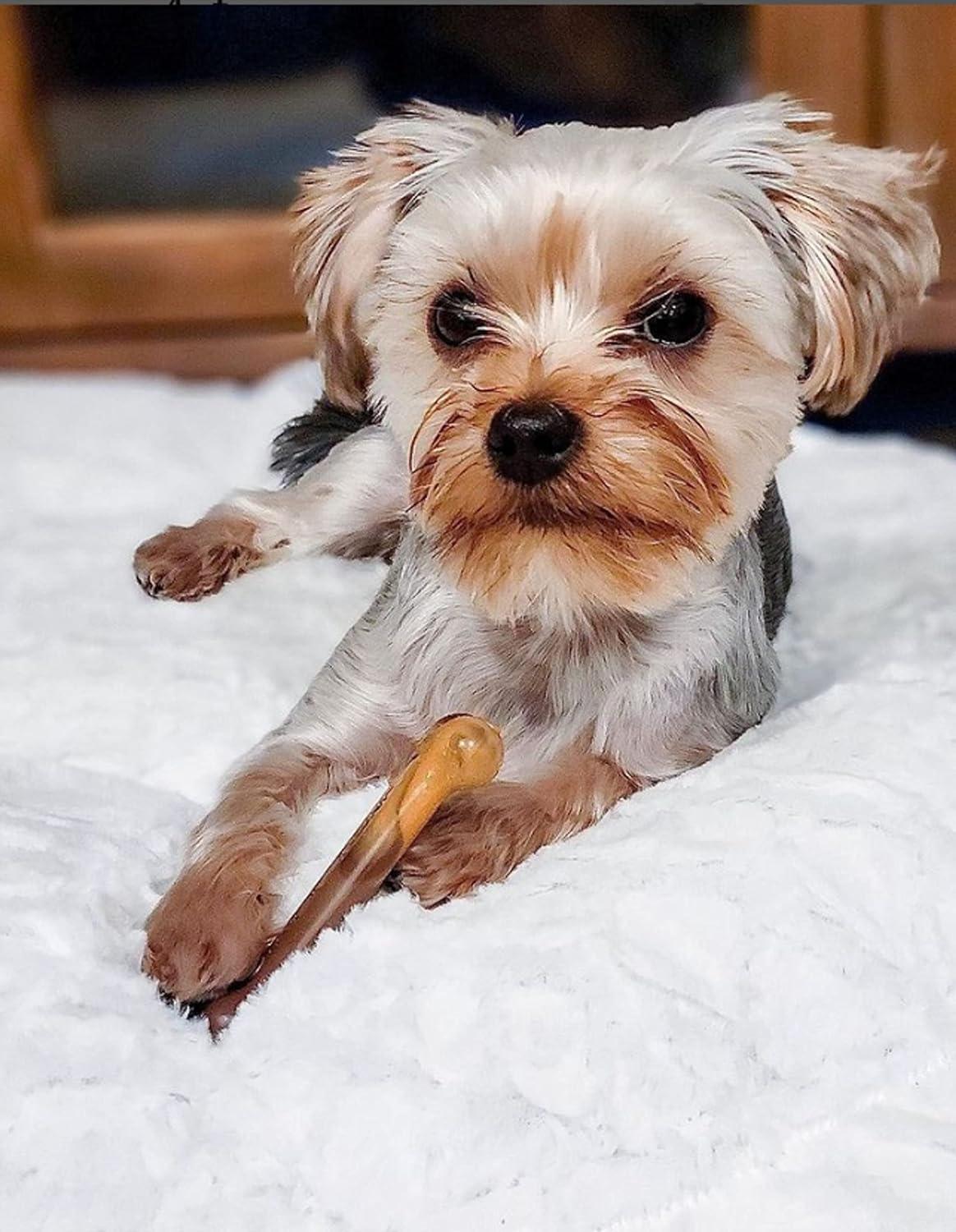 Juguete Huesos Nylabone Dura Power Chew Manzana 2pz 11kg