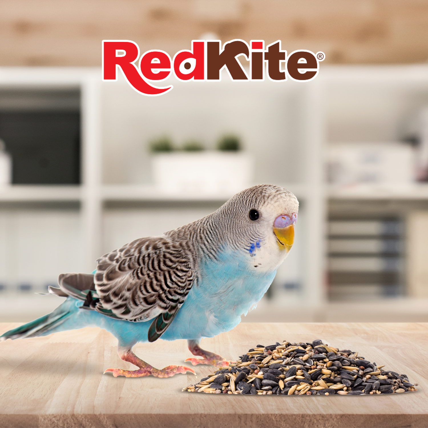 Redkite Mezcla De Semillas Para Loritos Y Ninfas 500 grs
