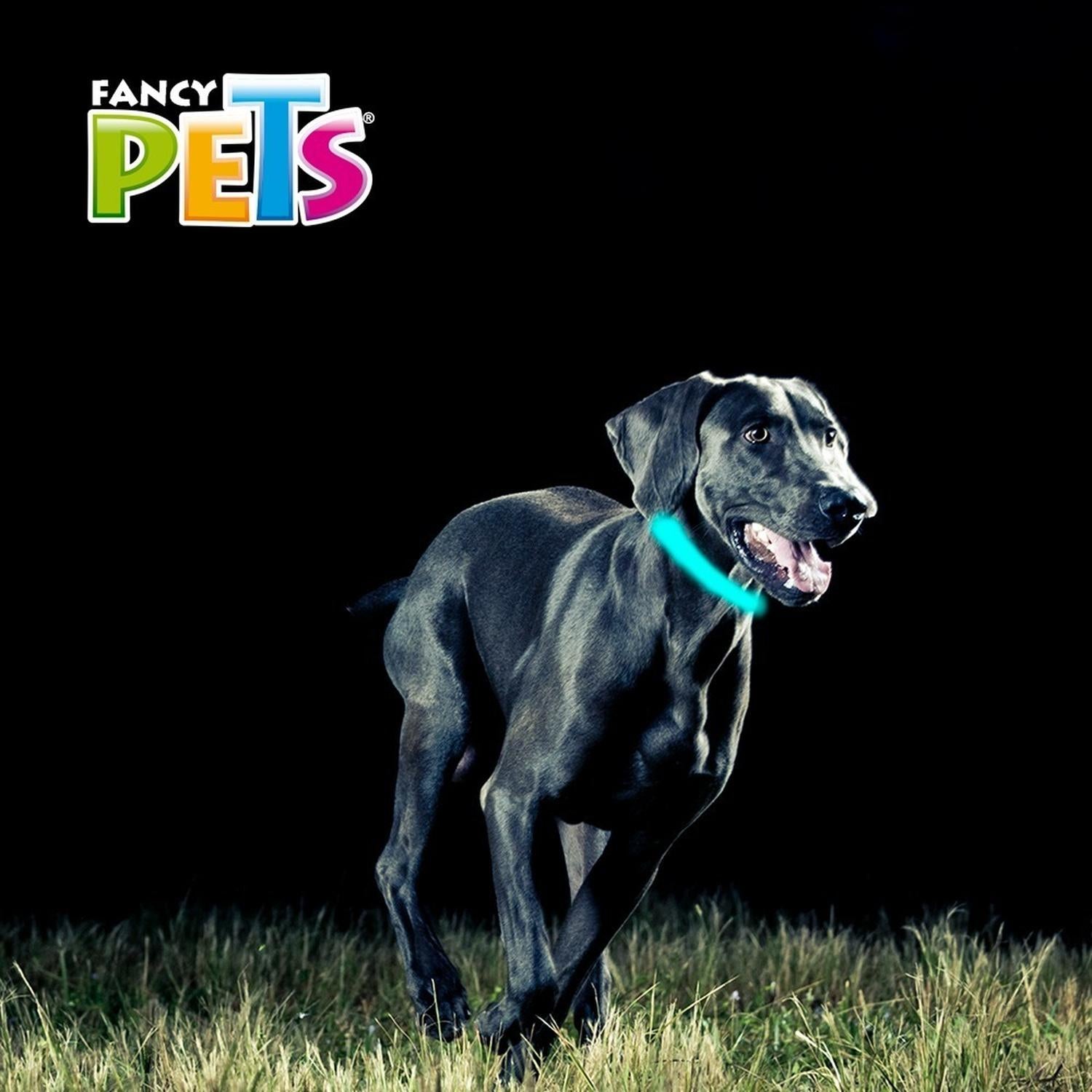 Collar Para Perro Led Diseño Huellas Me Bateria Reemplazable