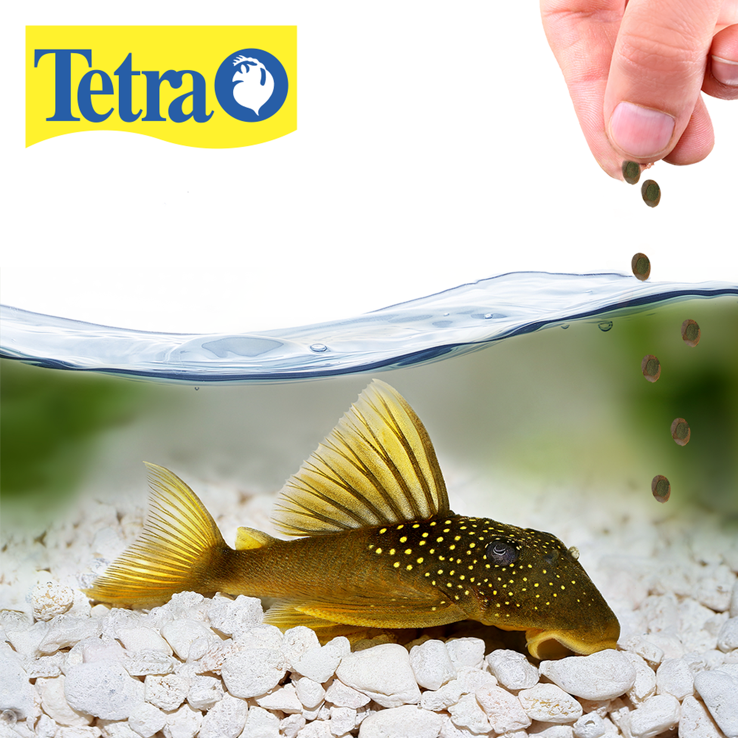 Tetra Food TetraPro Pleco Wafers 150g seaweed bottom fish