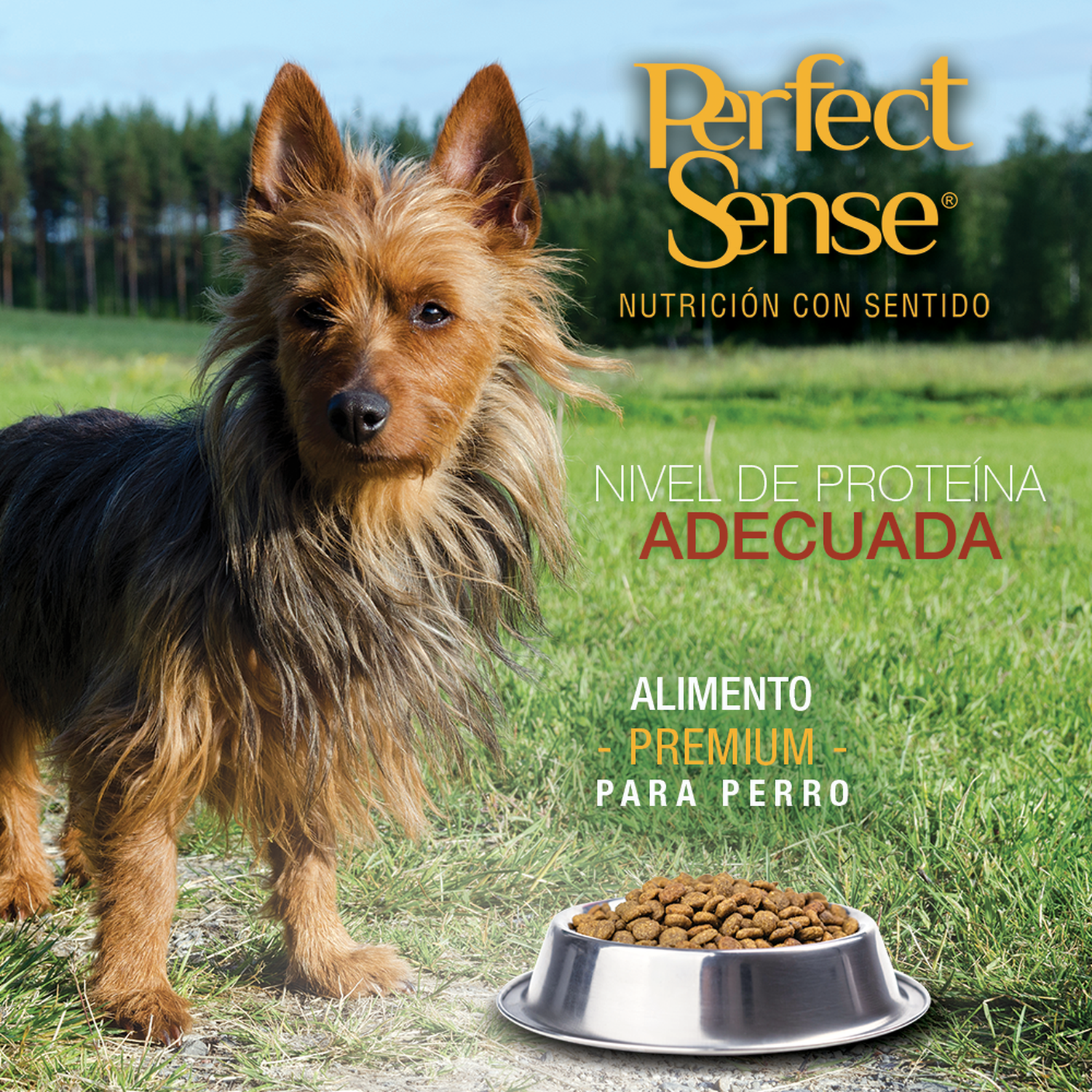 Alimento Perro Raza Chica adulto Perfect Sense De 3 Kilos