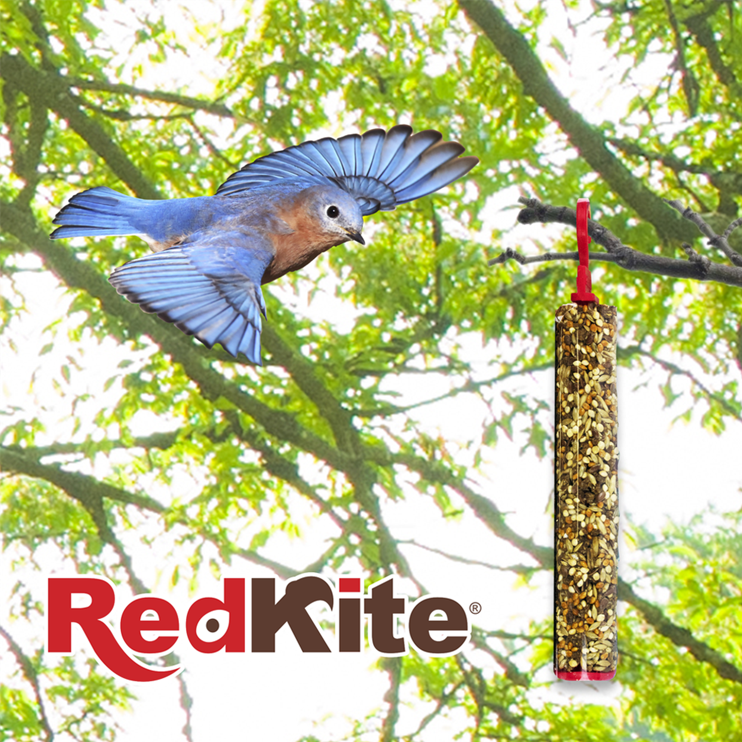 Redkite Barrita De Semillas Para Canarios Y Finches - 2 Pz