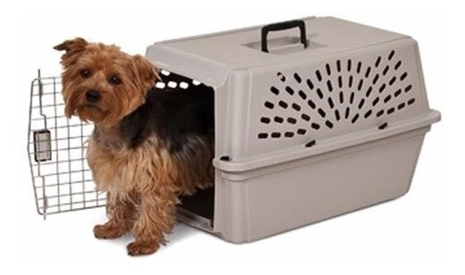 Transportadora Kennel Clásica Chica Para perros minis