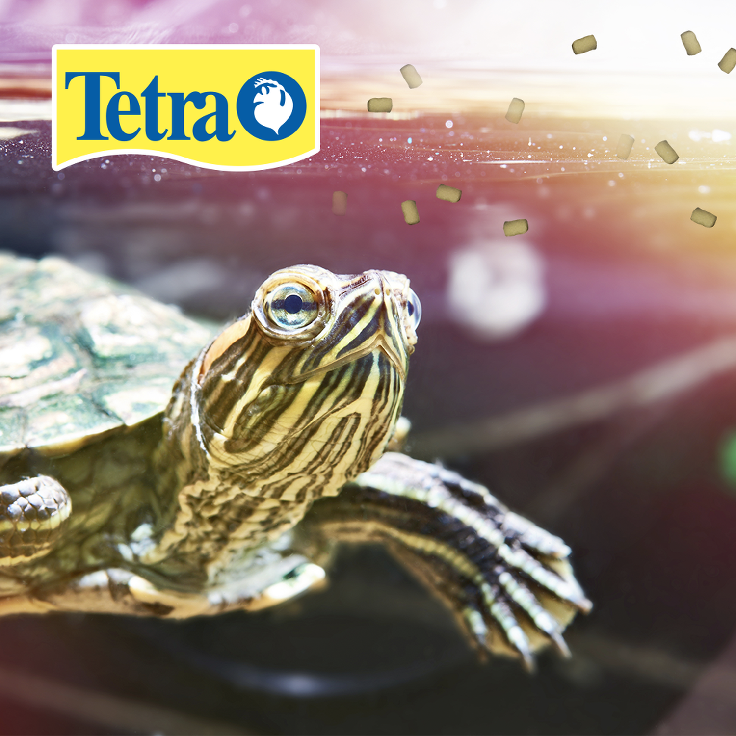 Alimento tortuga Reptomin Adult Turtle Formula 230G sin olor