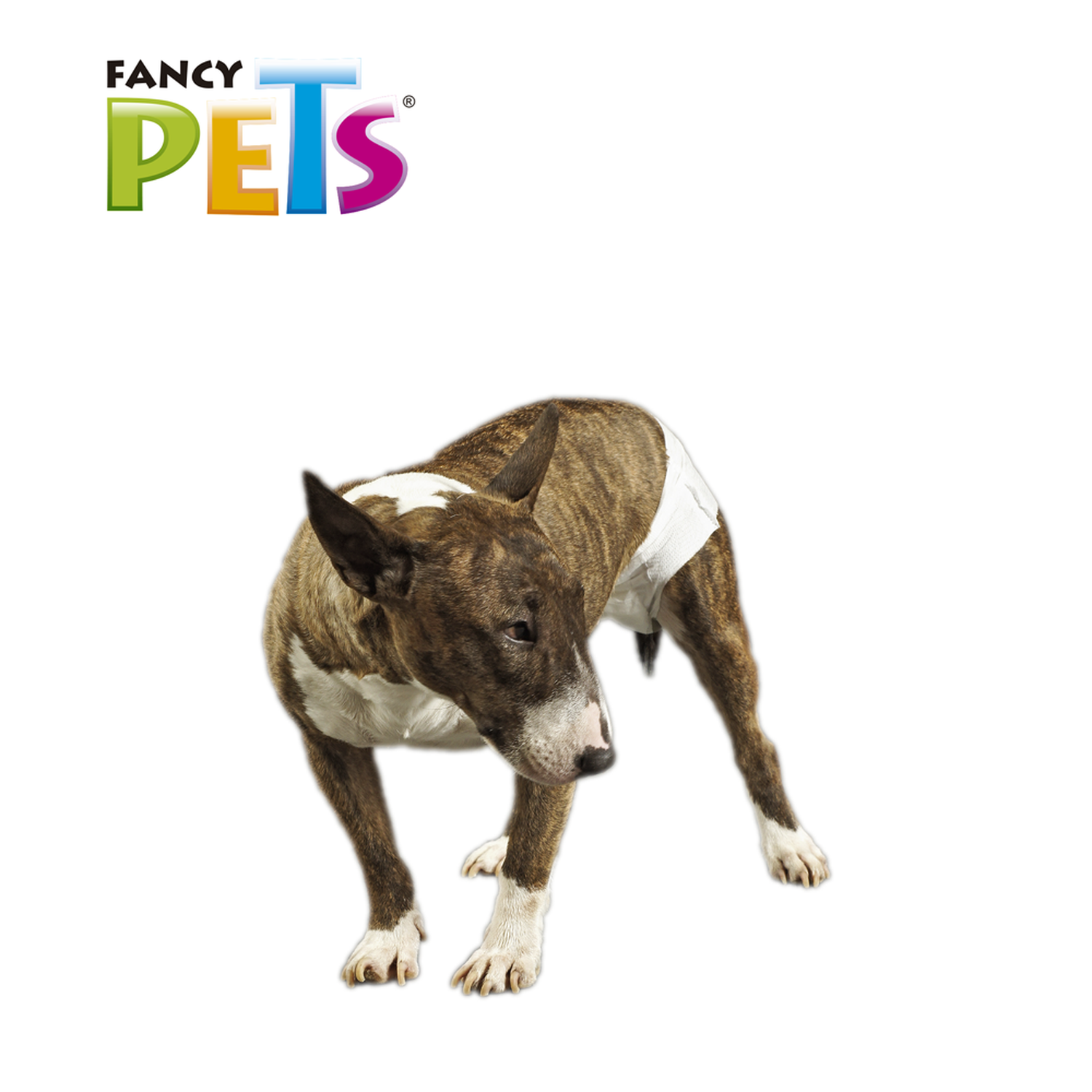 Fancy Pets Dog Diapers Medium Size 12 Pieces