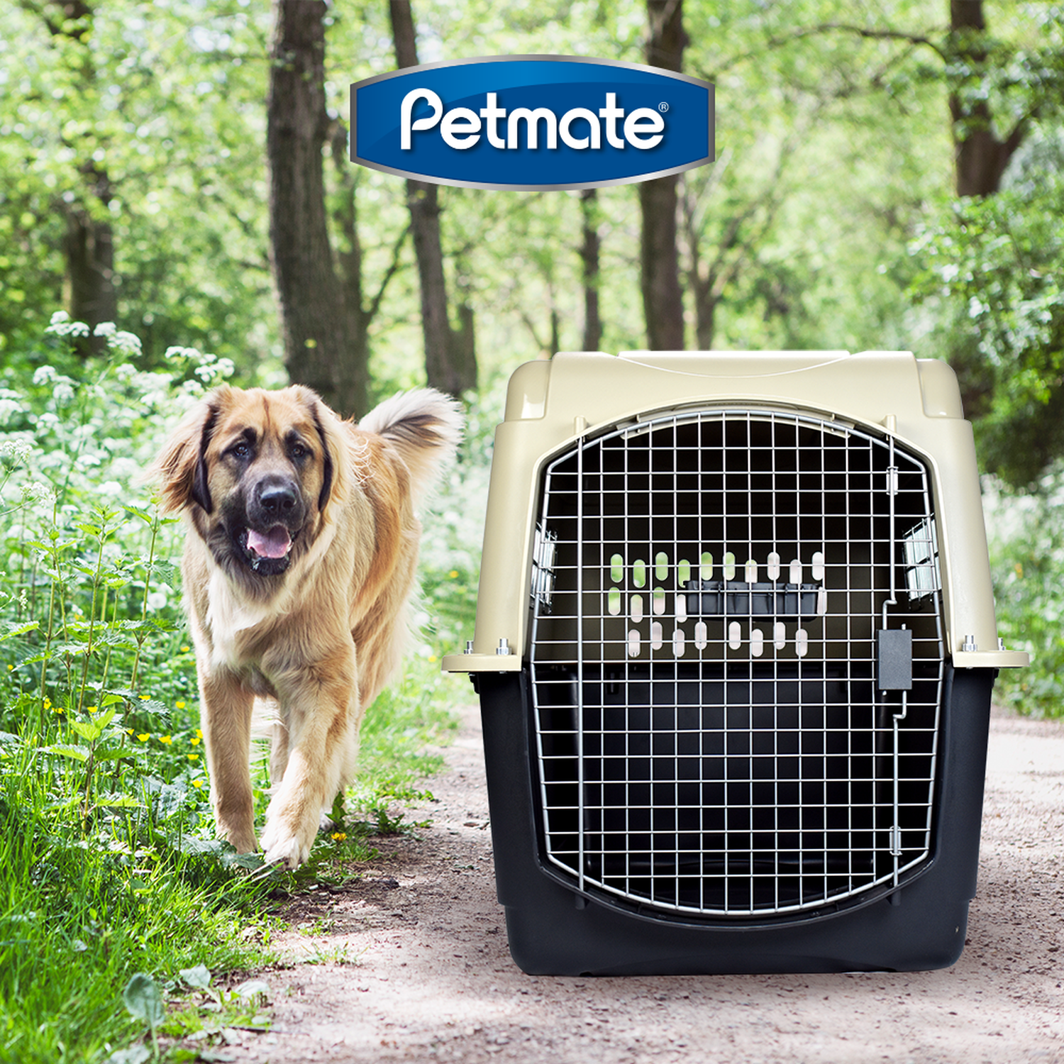 Transportadora Vari Kennel Extra Grande para perros