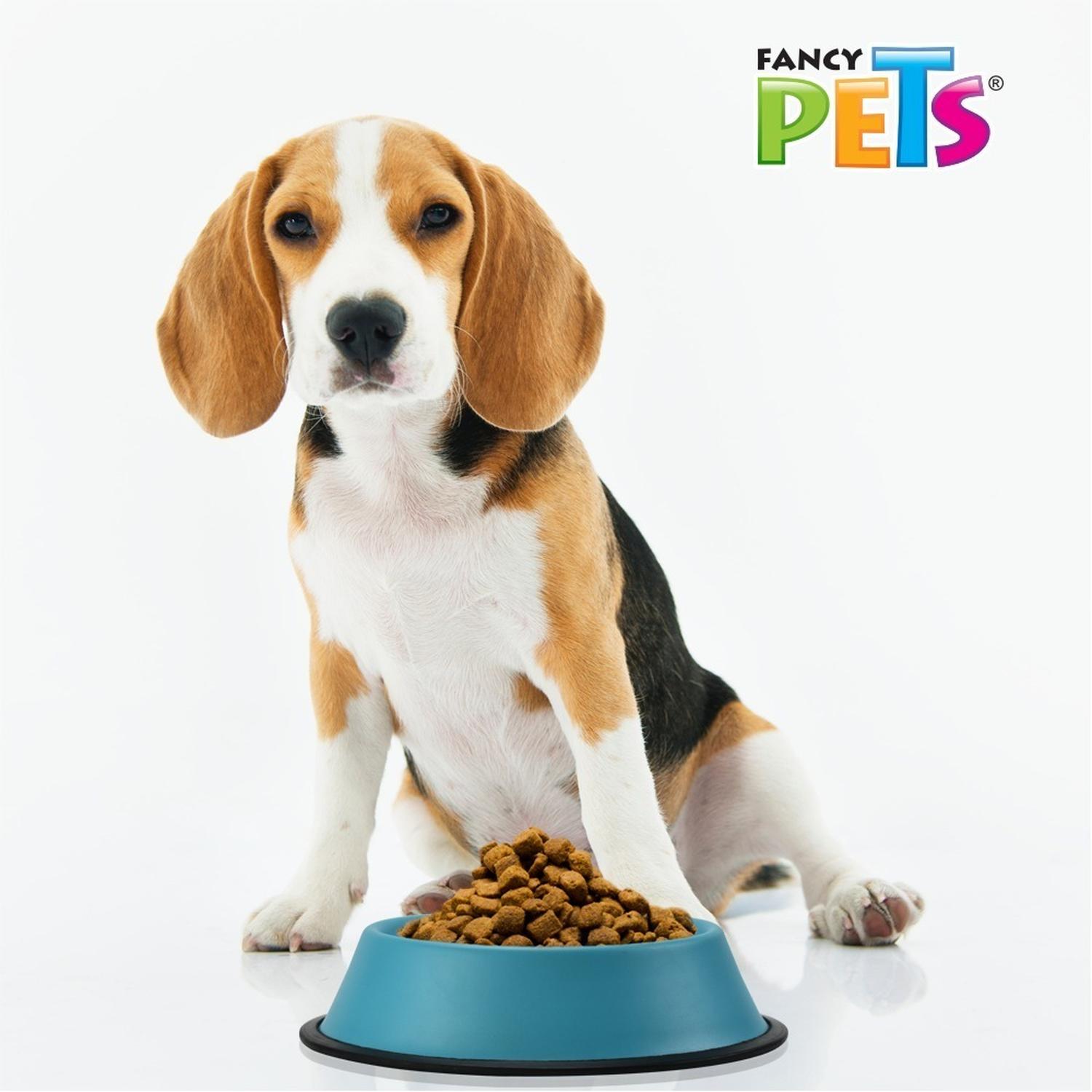 Steel Dog Bowl Assorted Colors 32 Oz