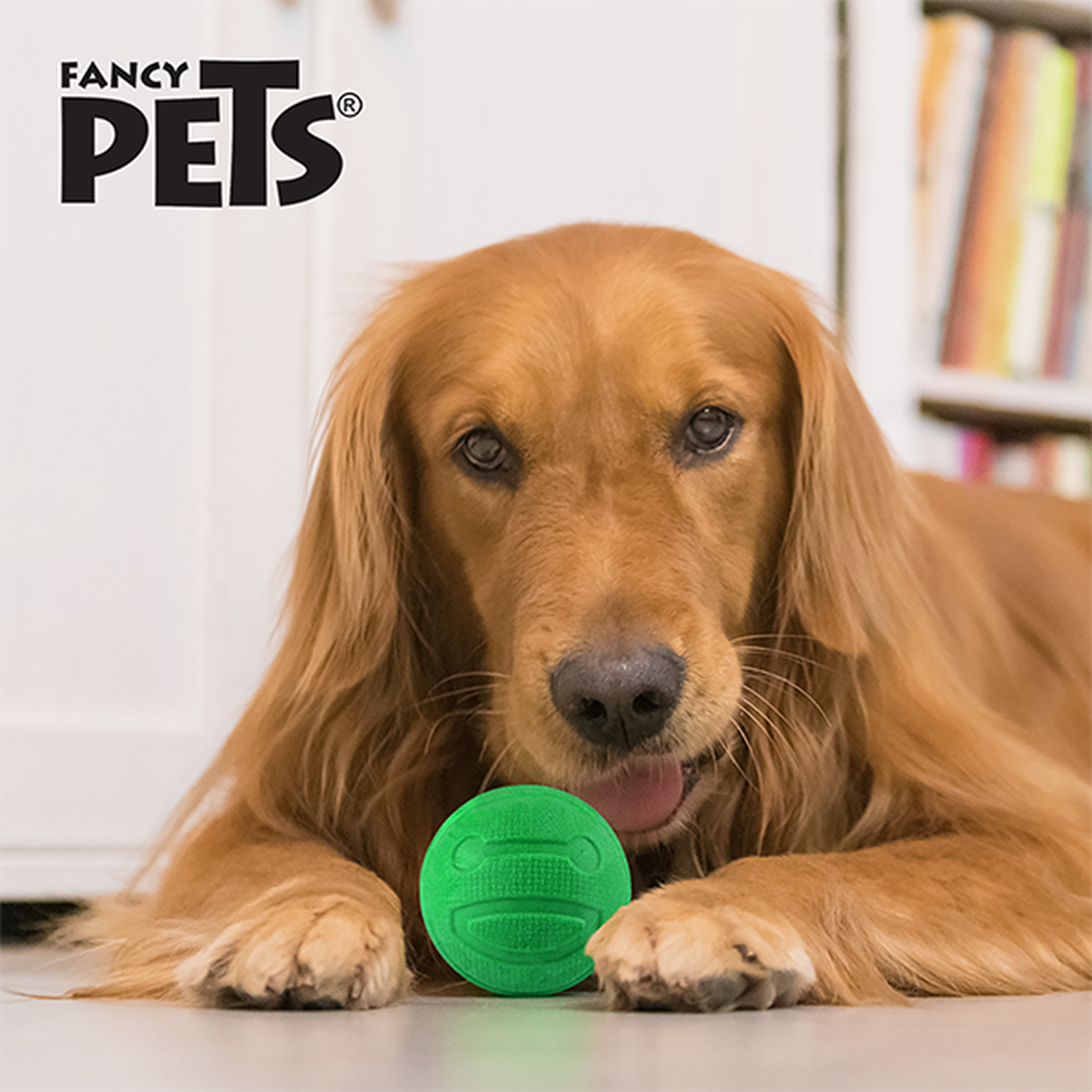 Fancy Pets Sniff Senses juguete pelota perro aroma sandia