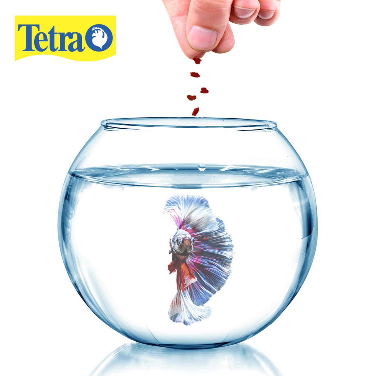 Beta food Tetra bettamin tropical medley 23g brine shrimp