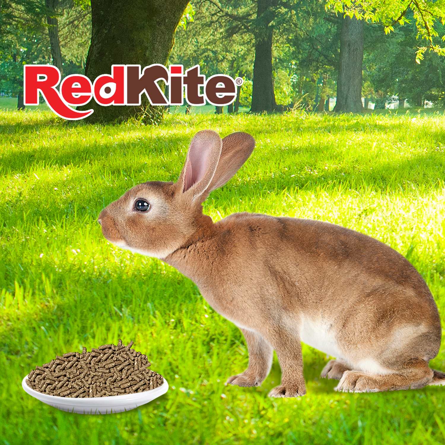 Redkite balanced food for rabbits 1 kg