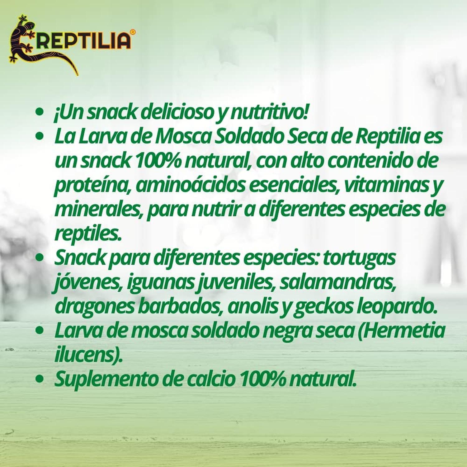 Reptilia larva mosca soldado tortuga iguana gecko anolis 30g