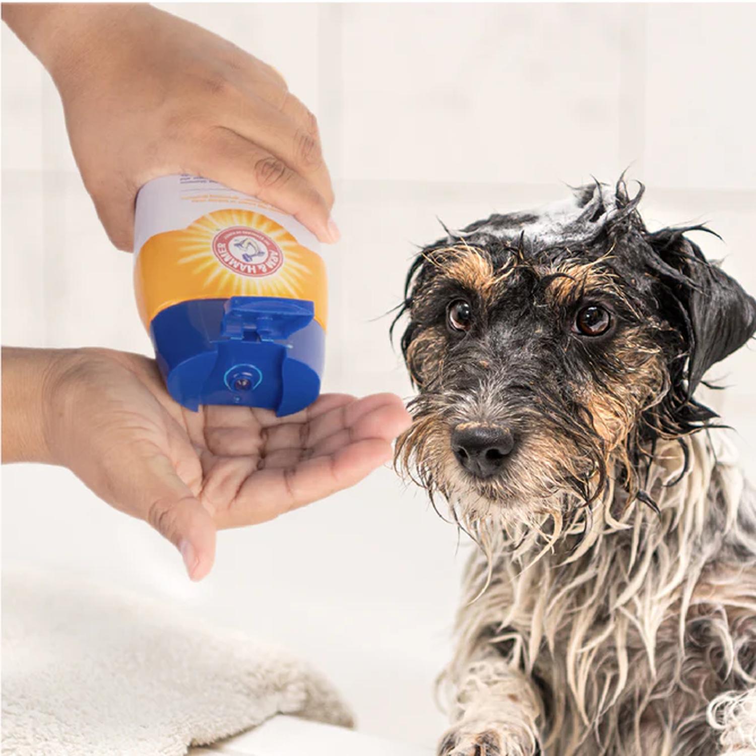 Arm & Hammer Shampoo para Perro Control Caída Pelo Guayaba 591ml