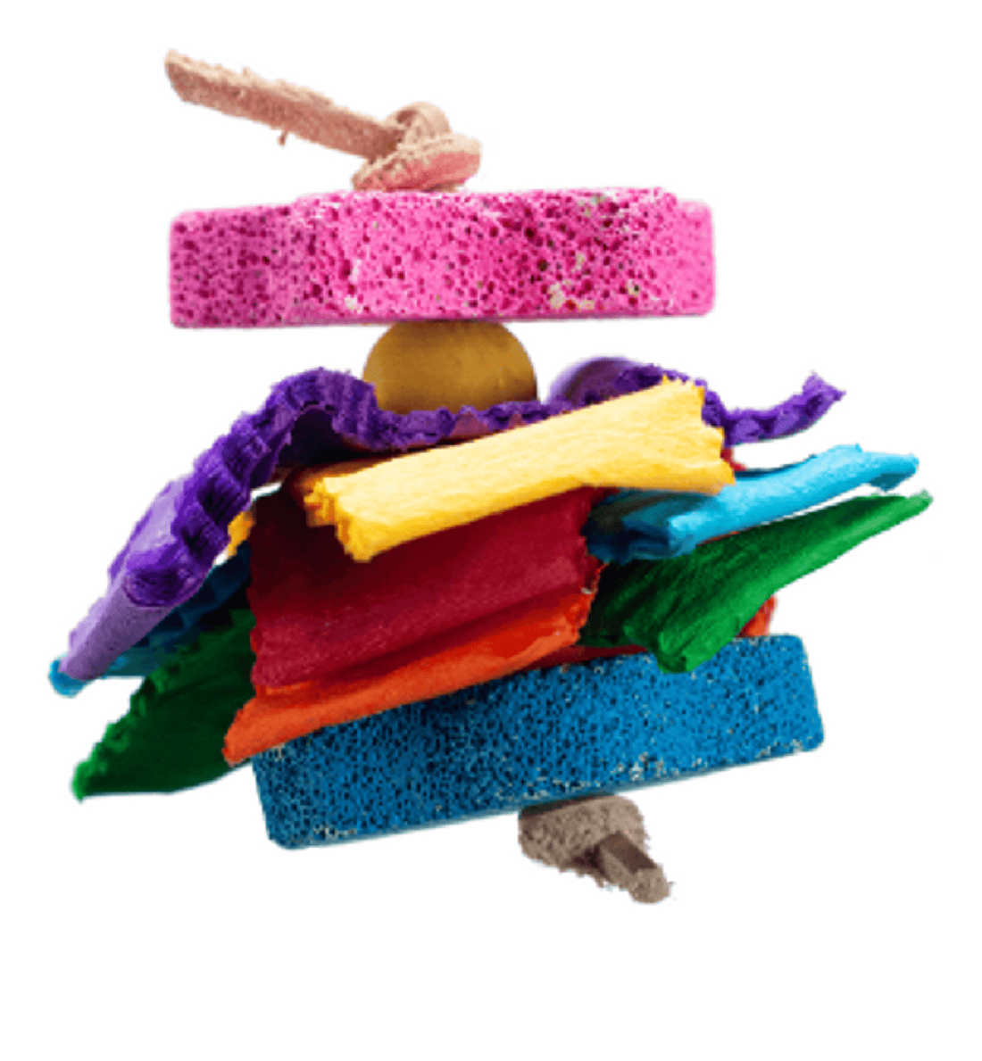 Juguete A&E Mordedera Splash de Pomez hamster, cuyo, conejo | G.Valkyria