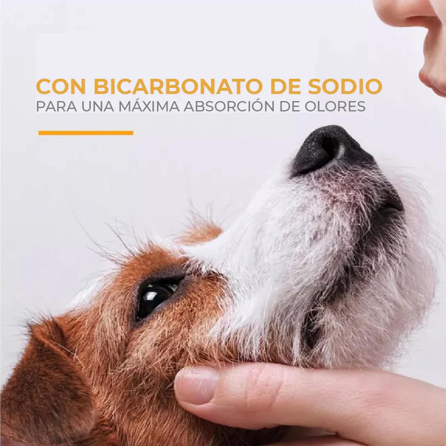 Arm & Hammer Shampoo para Cachorros menos lágrimas coco 591ml