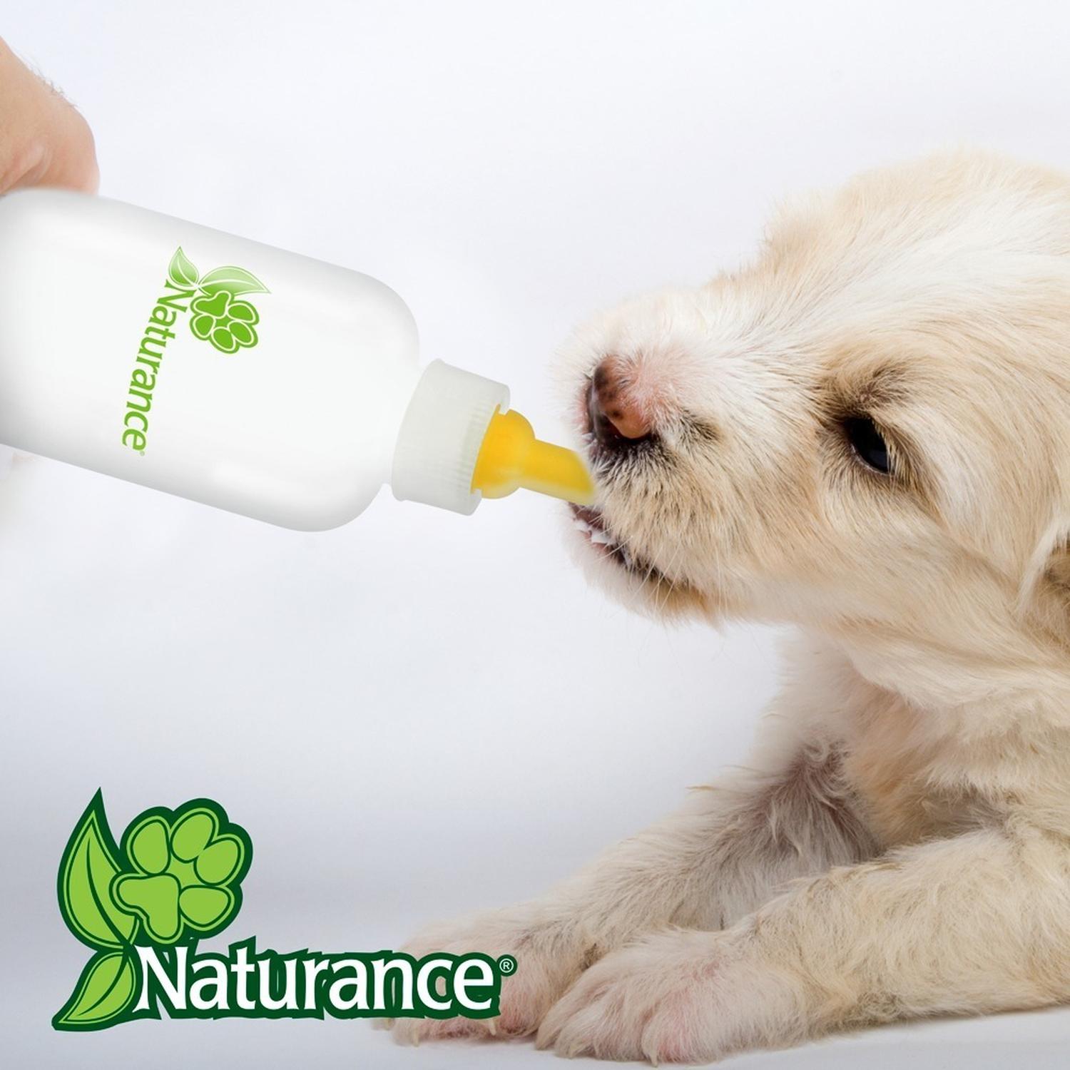 Naturance Baby Bottle for Puppy Kitten Rodents 56 Ml