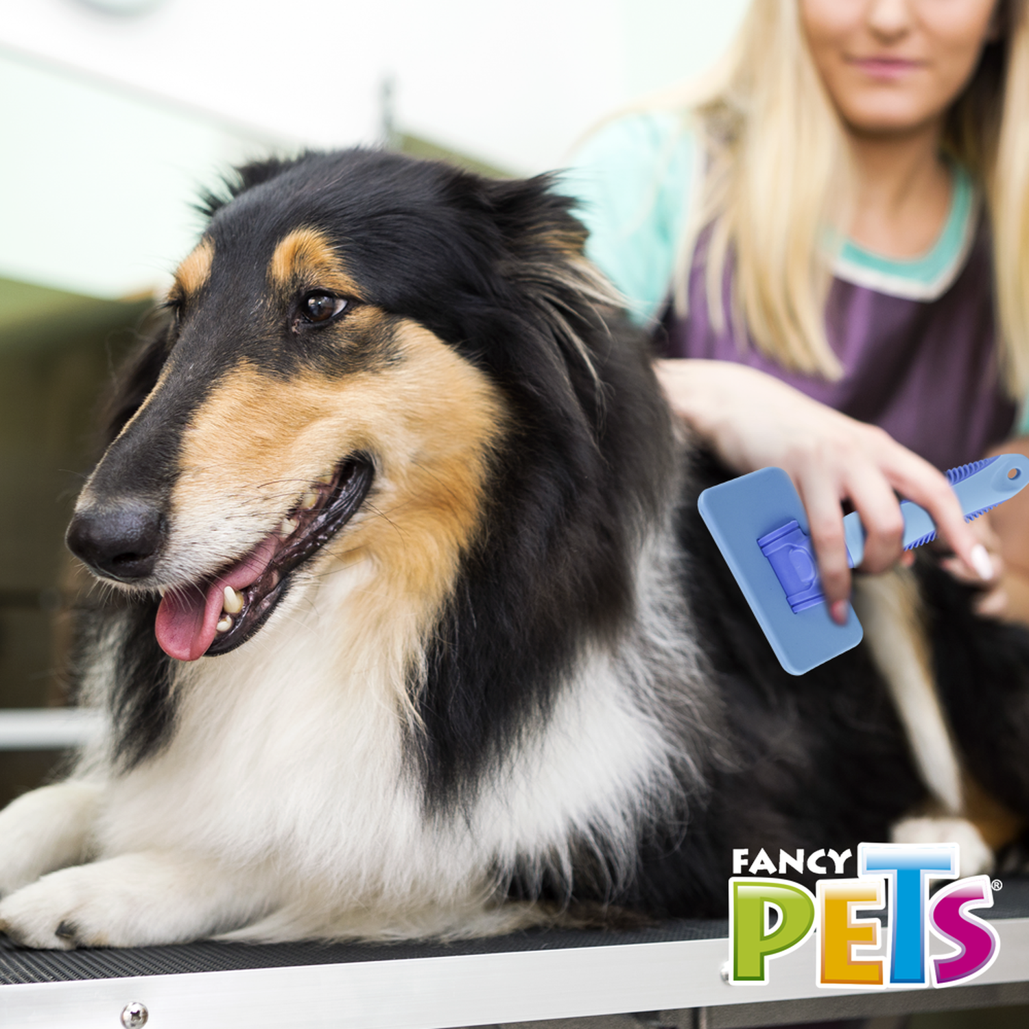Fancy Petss Carda para perros Mediana