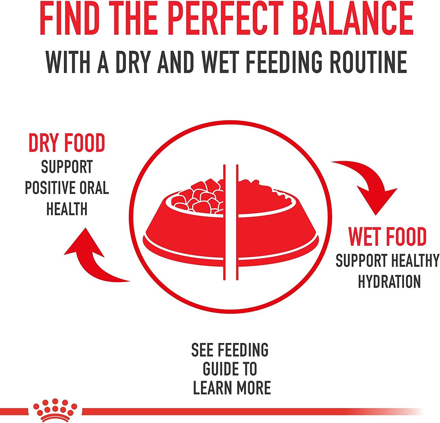 Cat food can Intense Beauty Wet Loaf Royal Canin