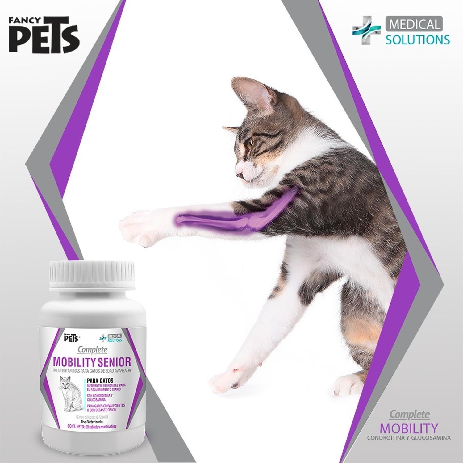 Supplement for older cats Mobility joints