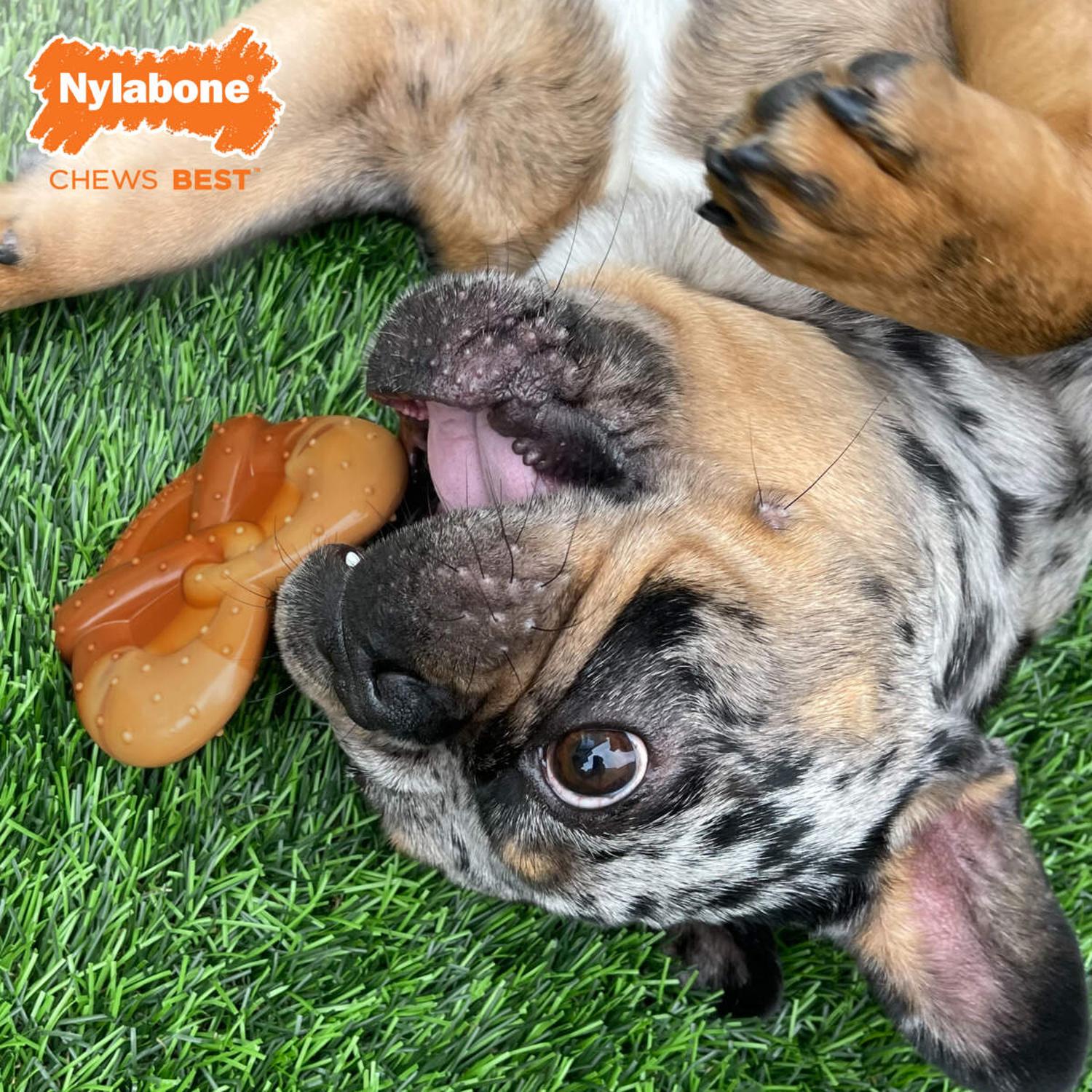 Juguete Nylabone perro Power Chew Pretzel Tocino Maní 11kg extreme
