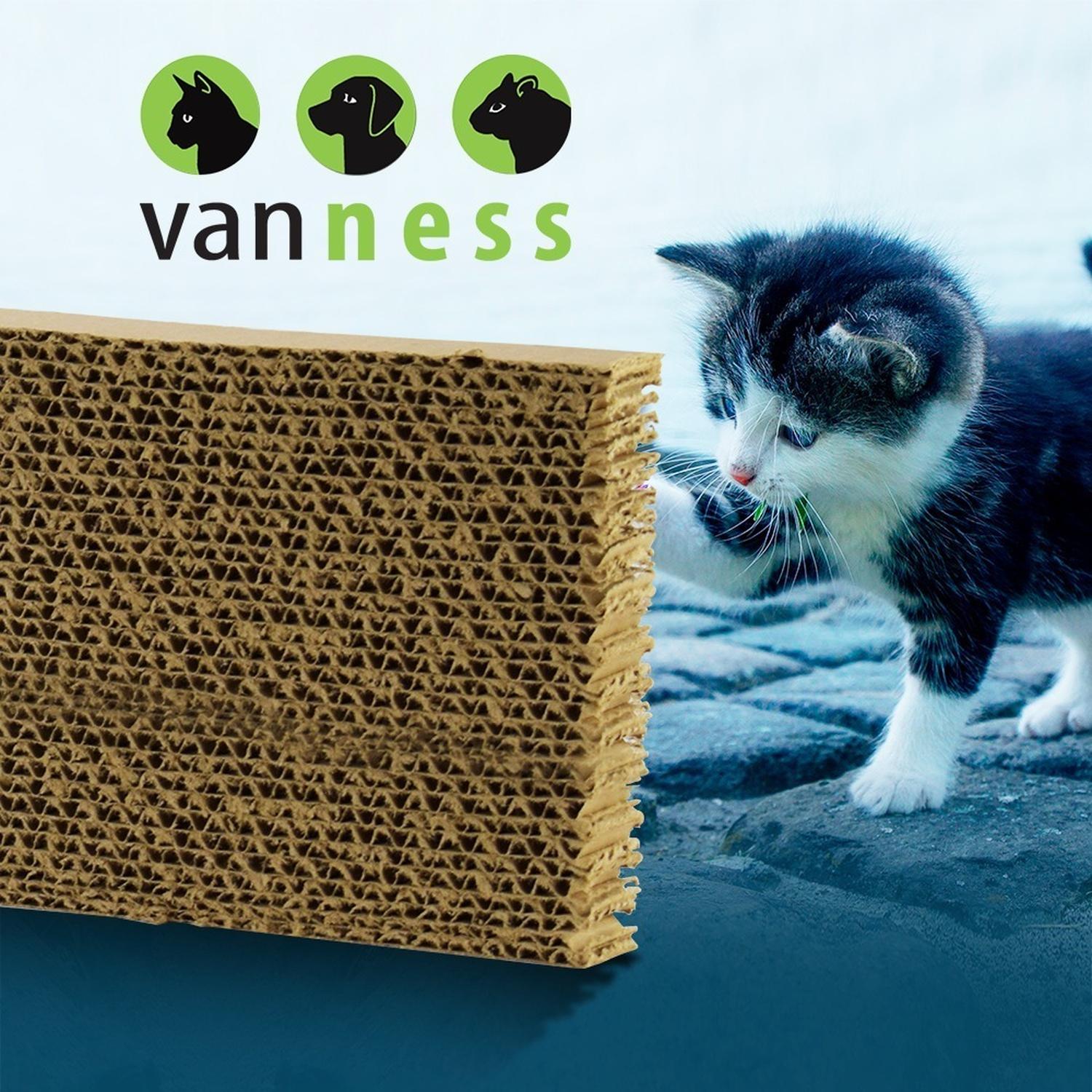 Tapete Rascador Para Gato Sencillo De Van Ness con catnip