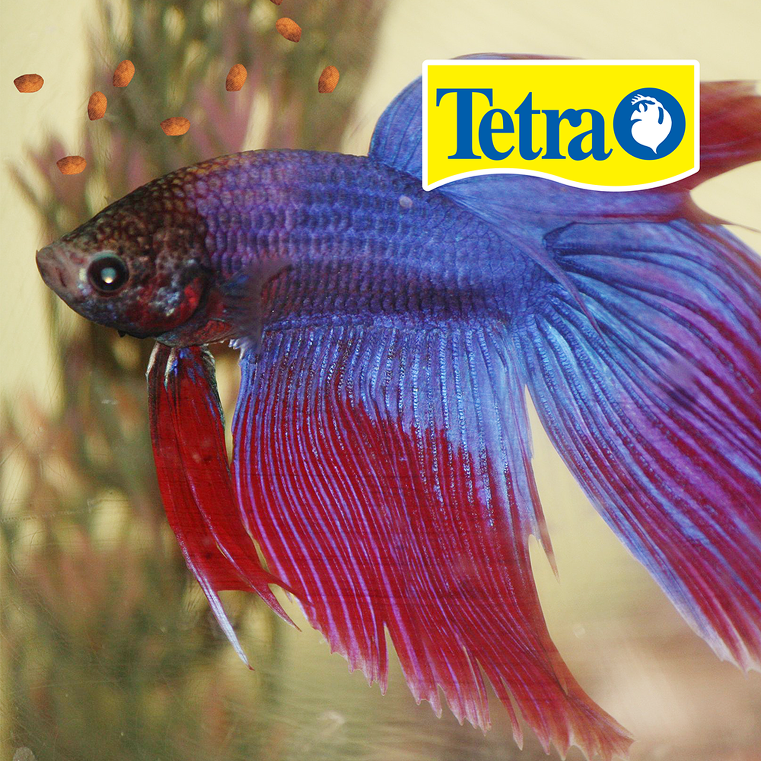 Alimento betta Tetrabetta Floating Mini Pellets 29 grs