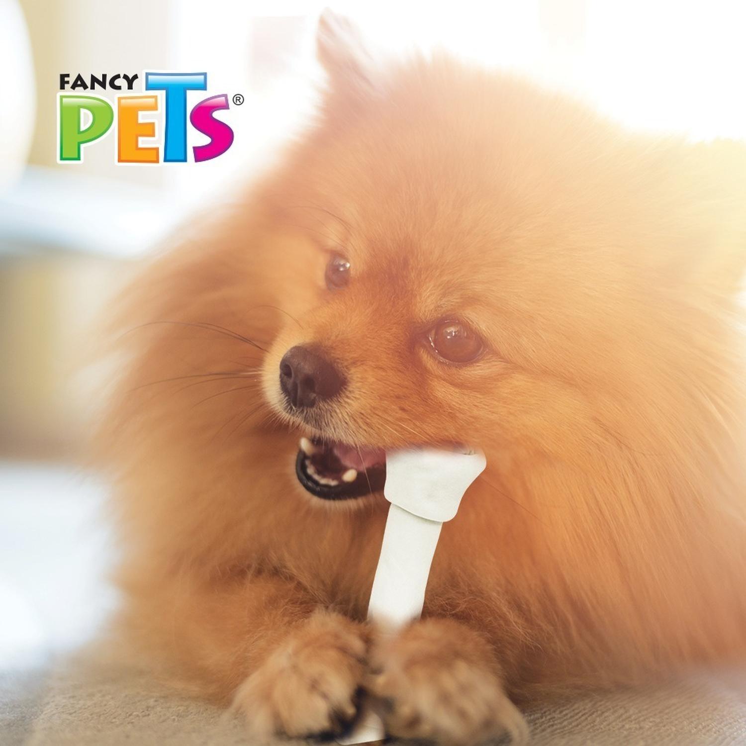 Fancy Pets Carnaza Dental Para Perros De Todas Las Edades 2 Piezas