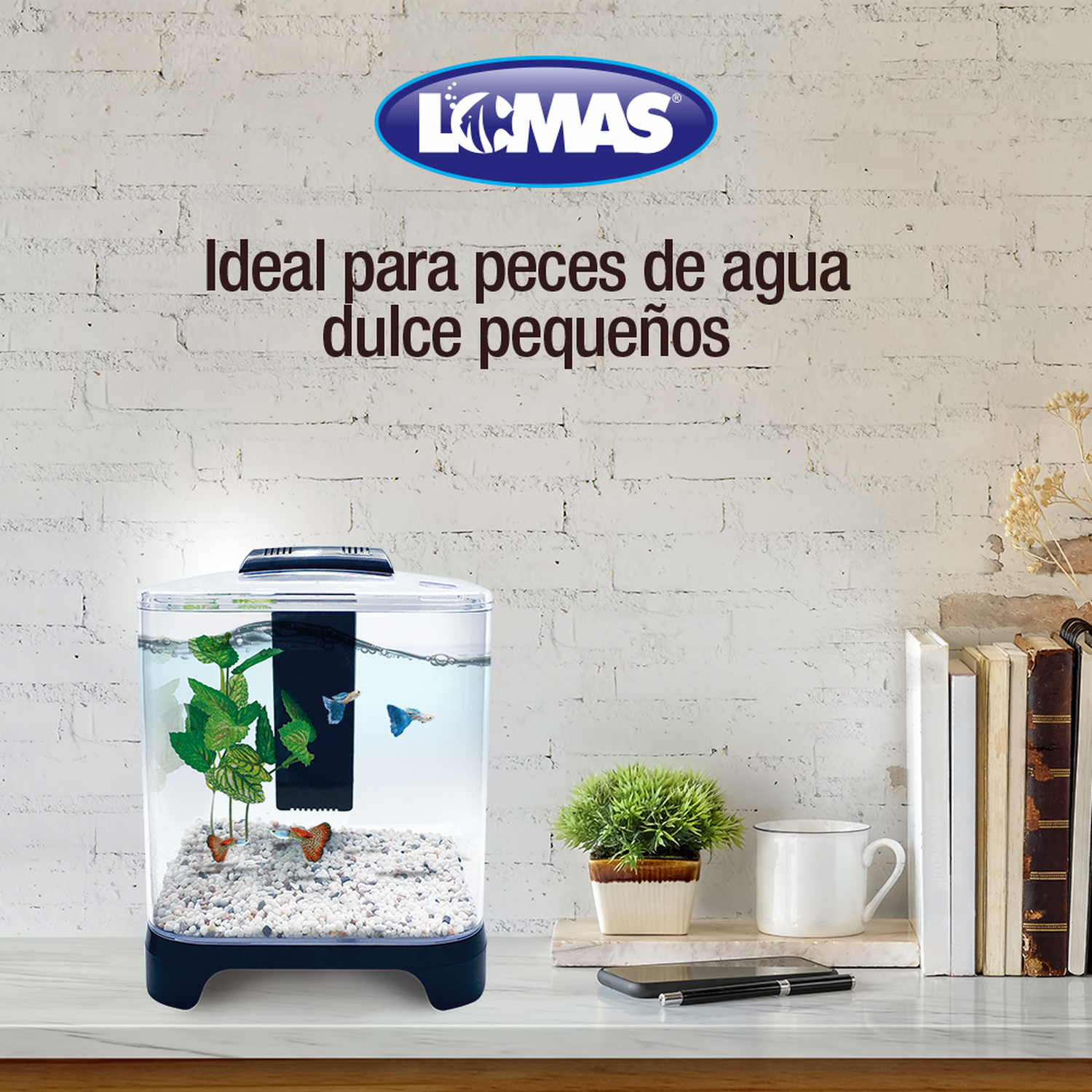 Lomas Acuario Mini de 6 lt, con filtro y lámpara Led betta