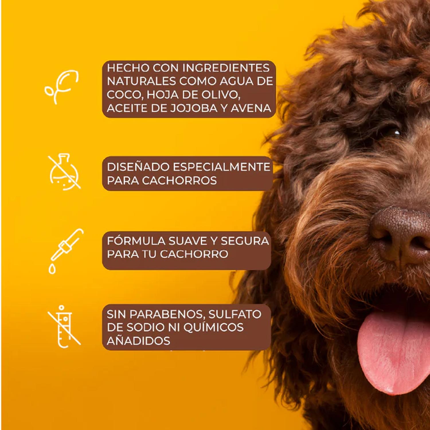 Arm & Hammer Shampoo para Cachorros menos lágrimas coco 591ml