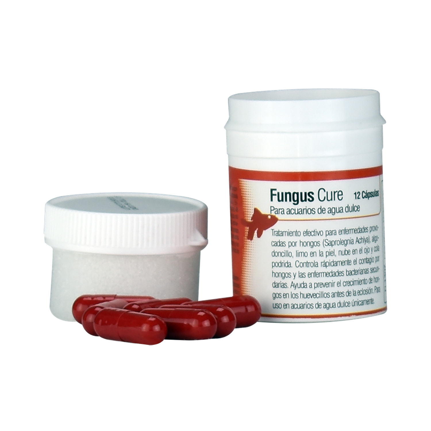 Capsulas peces Saprolegnia y Achlya y Algodoncillo y hongos