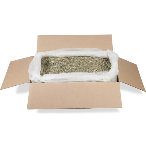 Heno Timothy Hay Gold American Pet caja 11.3 kg cuyo conejo | G.Valkyria - imagen 1
