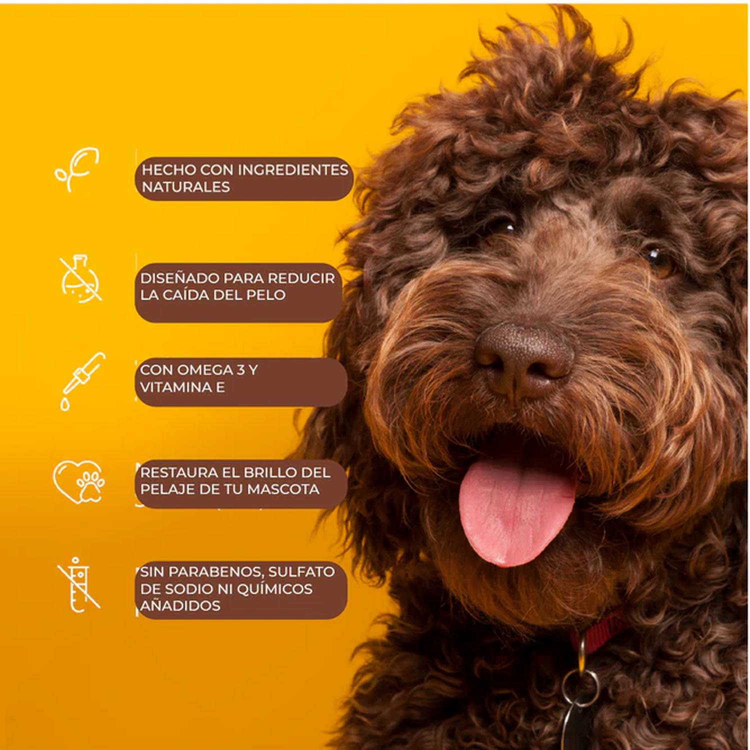 Arm & Hammer Shampoo para Perro Control Caída Pelo Guayaba 591ml | G.Valkyria - imagen 6