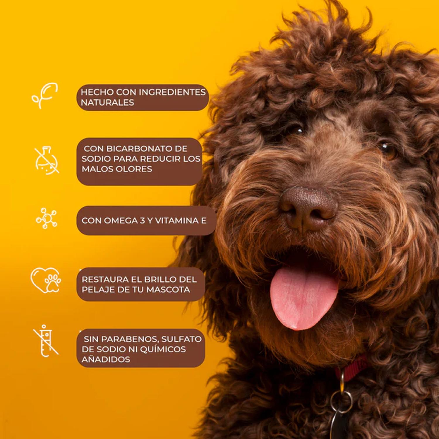 Arm & Hammer Shampoo para Perro Control de Olores Kiwi 591ml | G.Valkyria - imagen 6