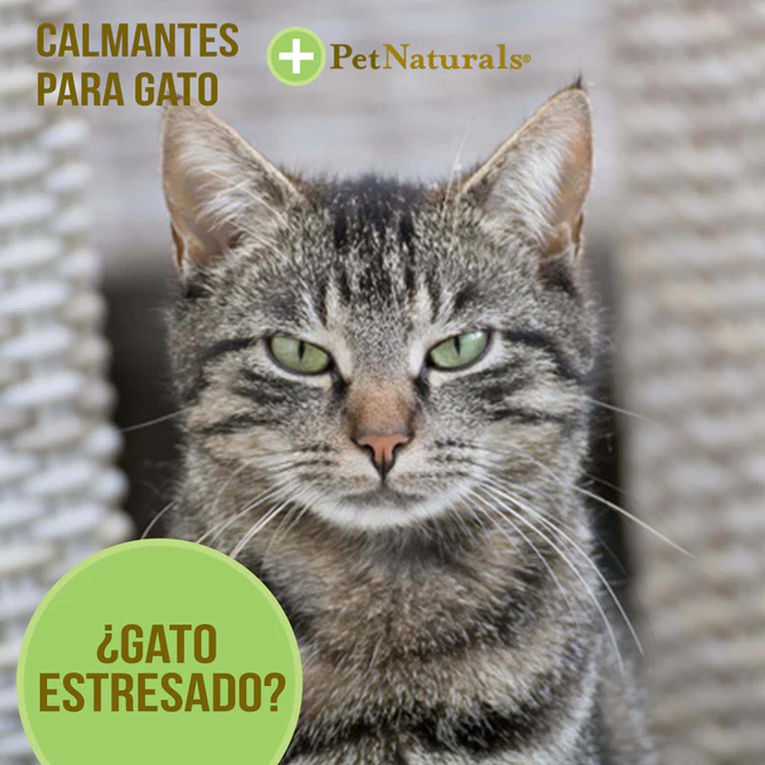 Pet Naturals Calmantes para Gatos masticables 31.5 gr