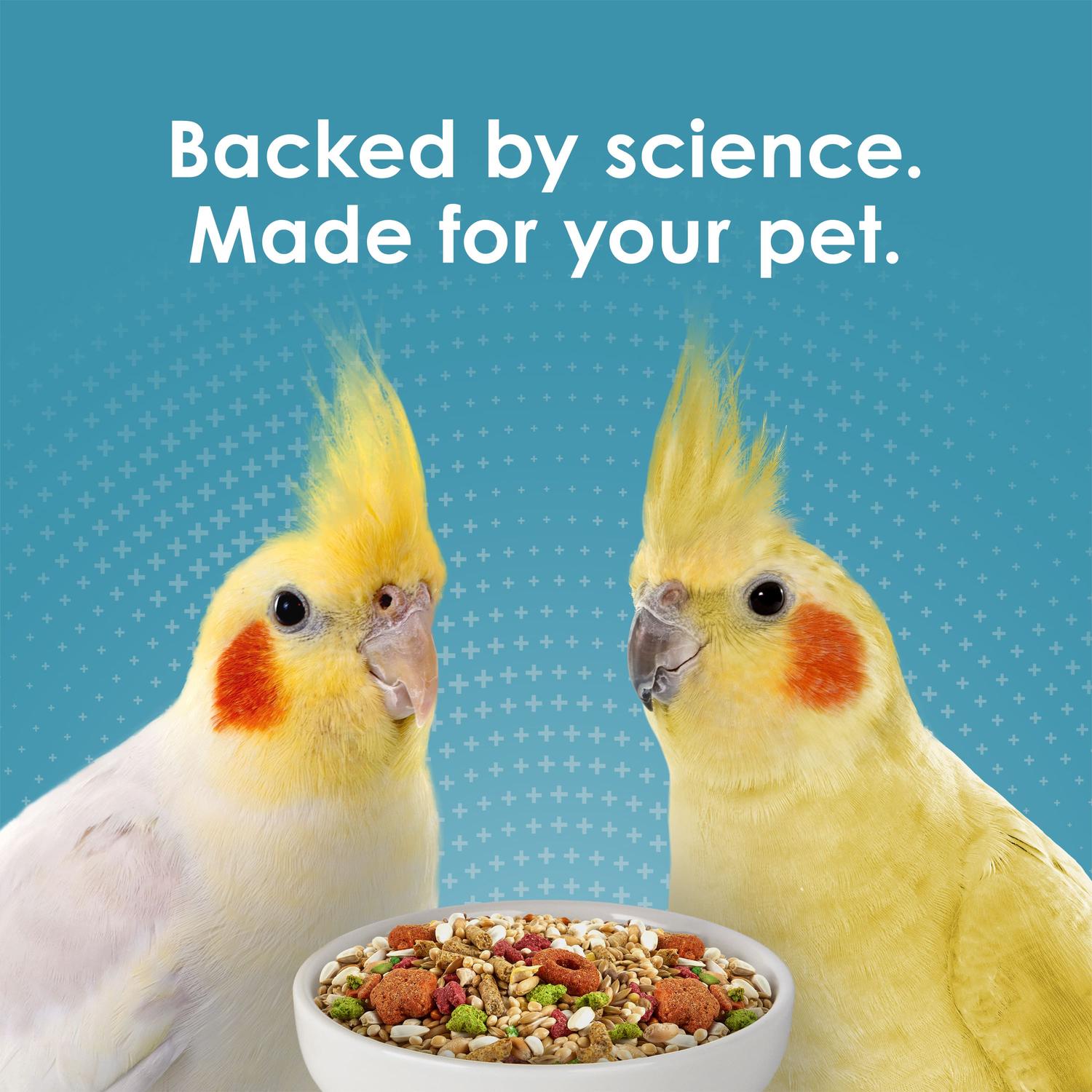 jpg_1500x1500_69368979