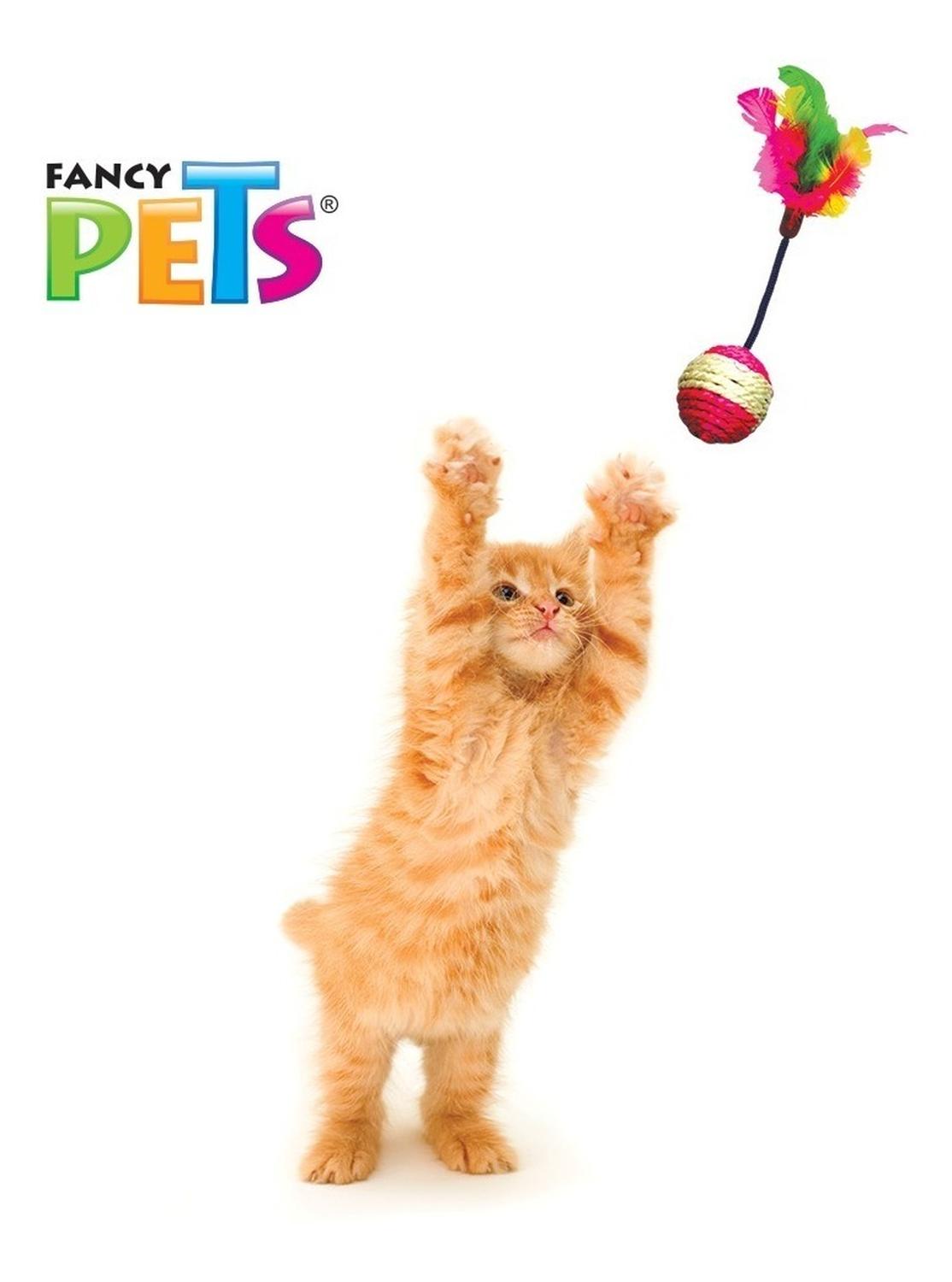 Fancy Pets Juguetes Para Gato variados Caja Con 48 Juguetes