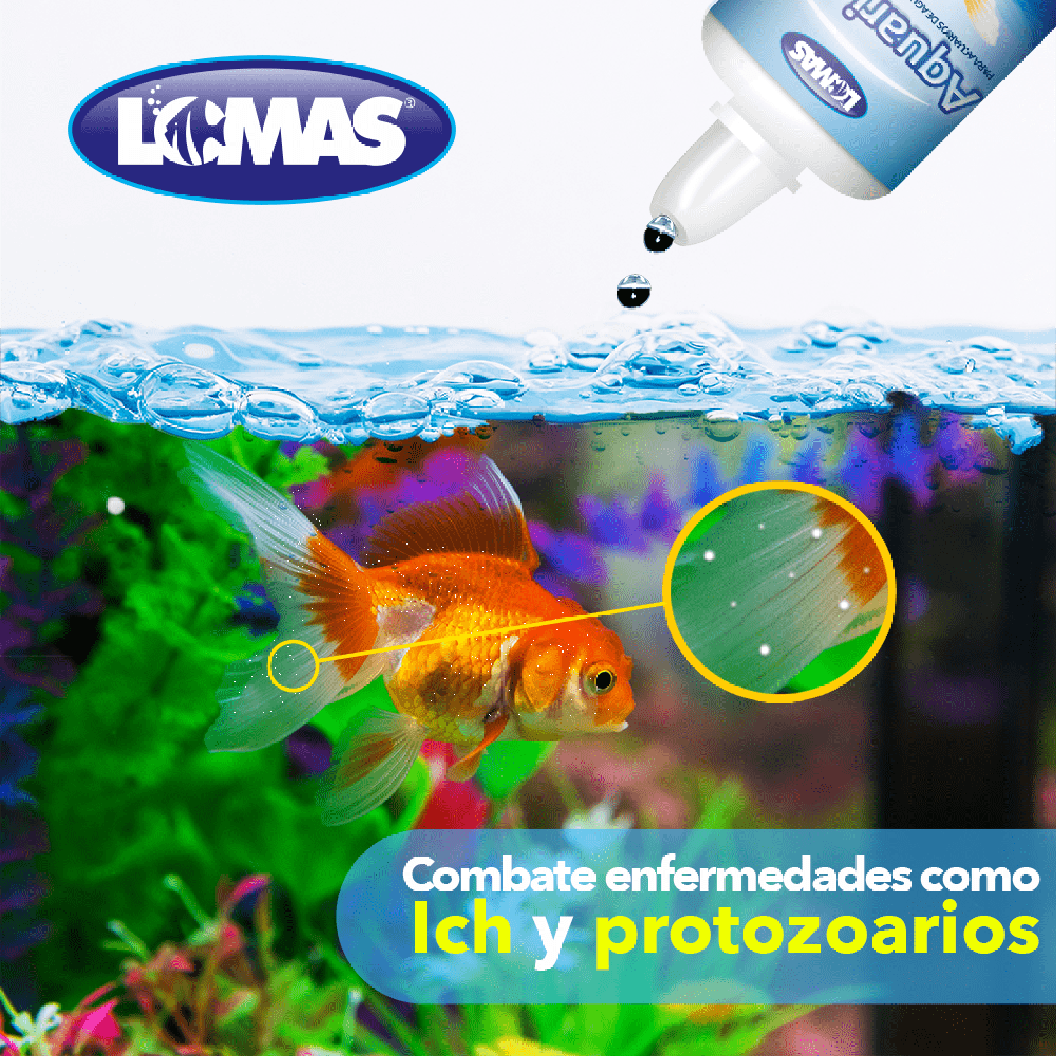Lomas tratamiento peces japoneses goldfish Aquari-Sol 30 Ml