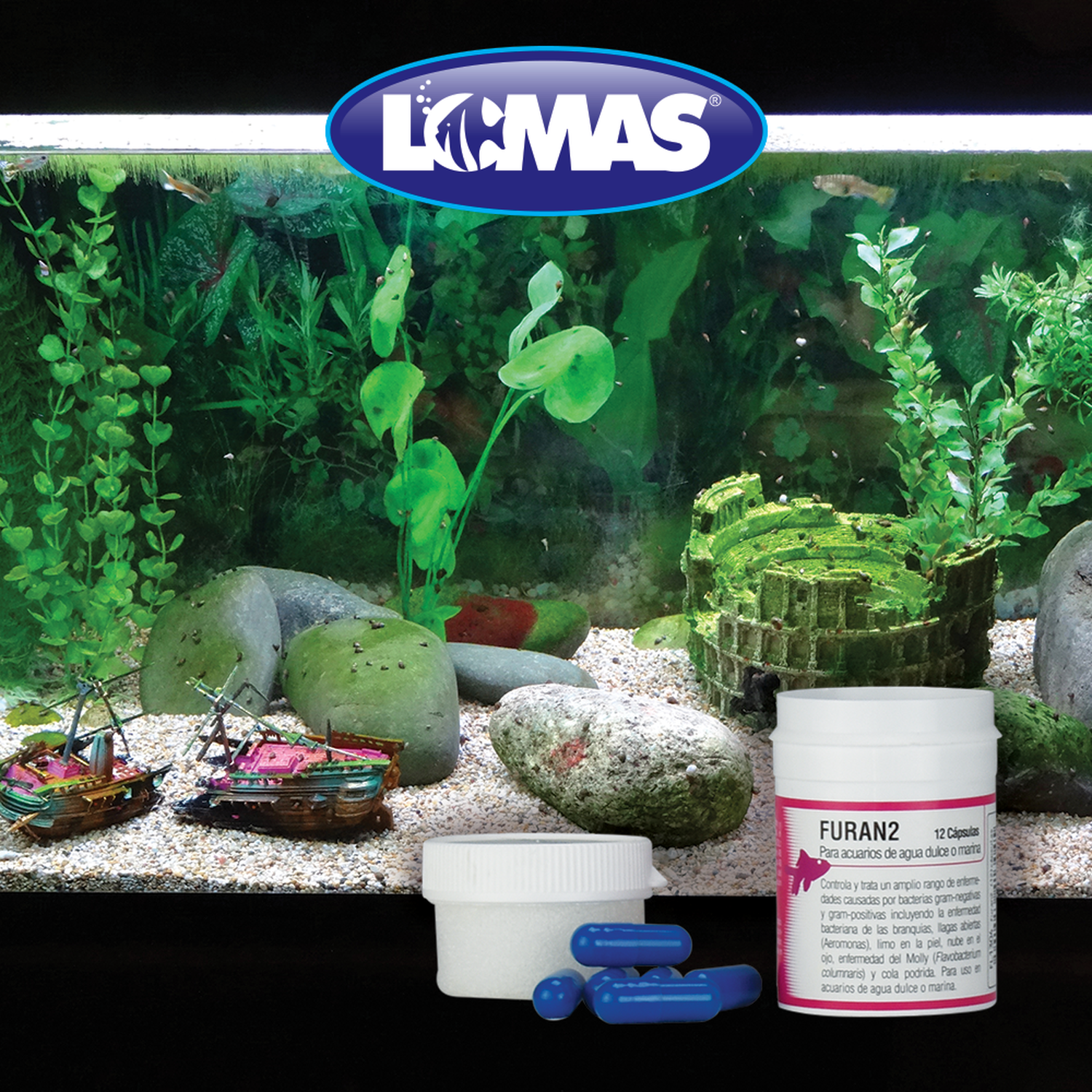 Capsulas para peces - Llagas abiertas (aeromonas) - Limo en la piel - Nube en el ojo