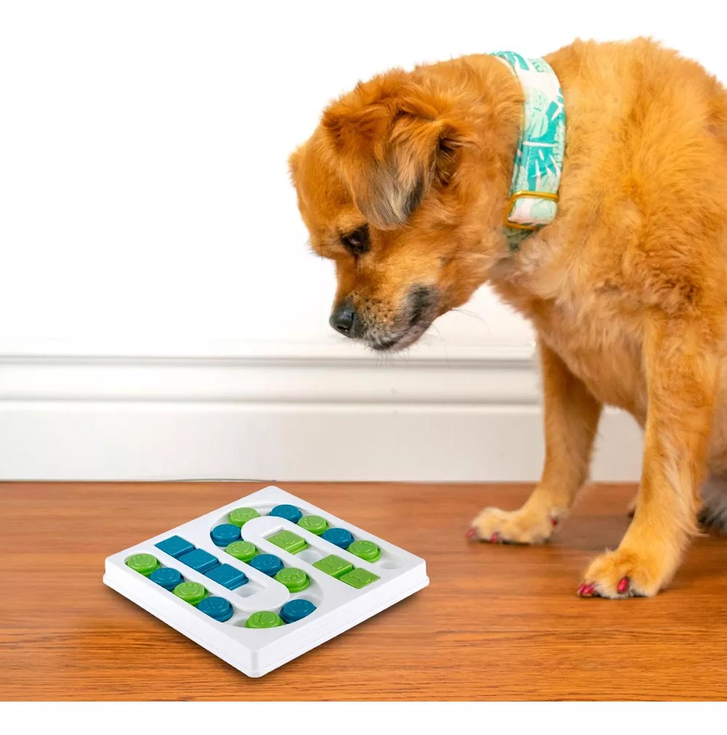 Fancy Pets dispensador de premios Smart Senses para perros