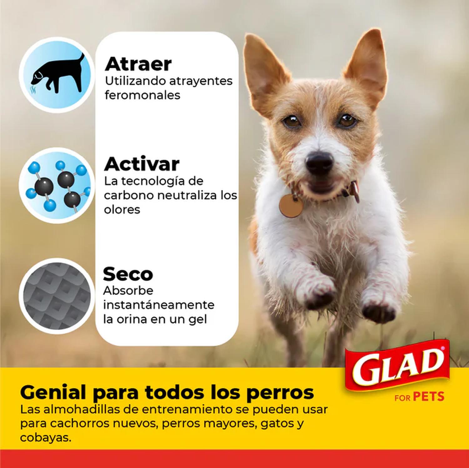 Glad Tapete Entrenador Perro Glad Convierte Orina a Gel 14pz