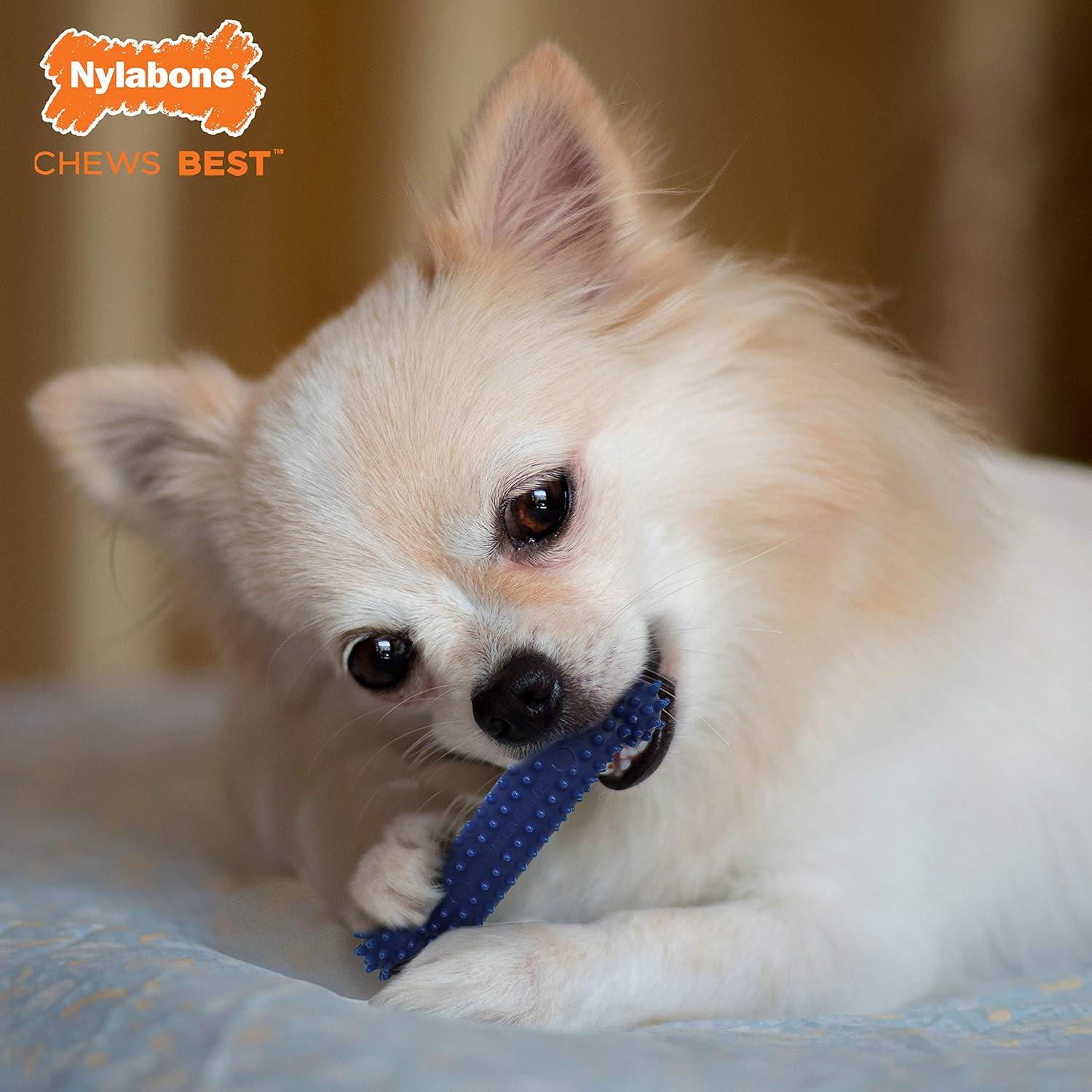 Juguete Nylabone perro Flexi Chew Dental pollo 7kg medio