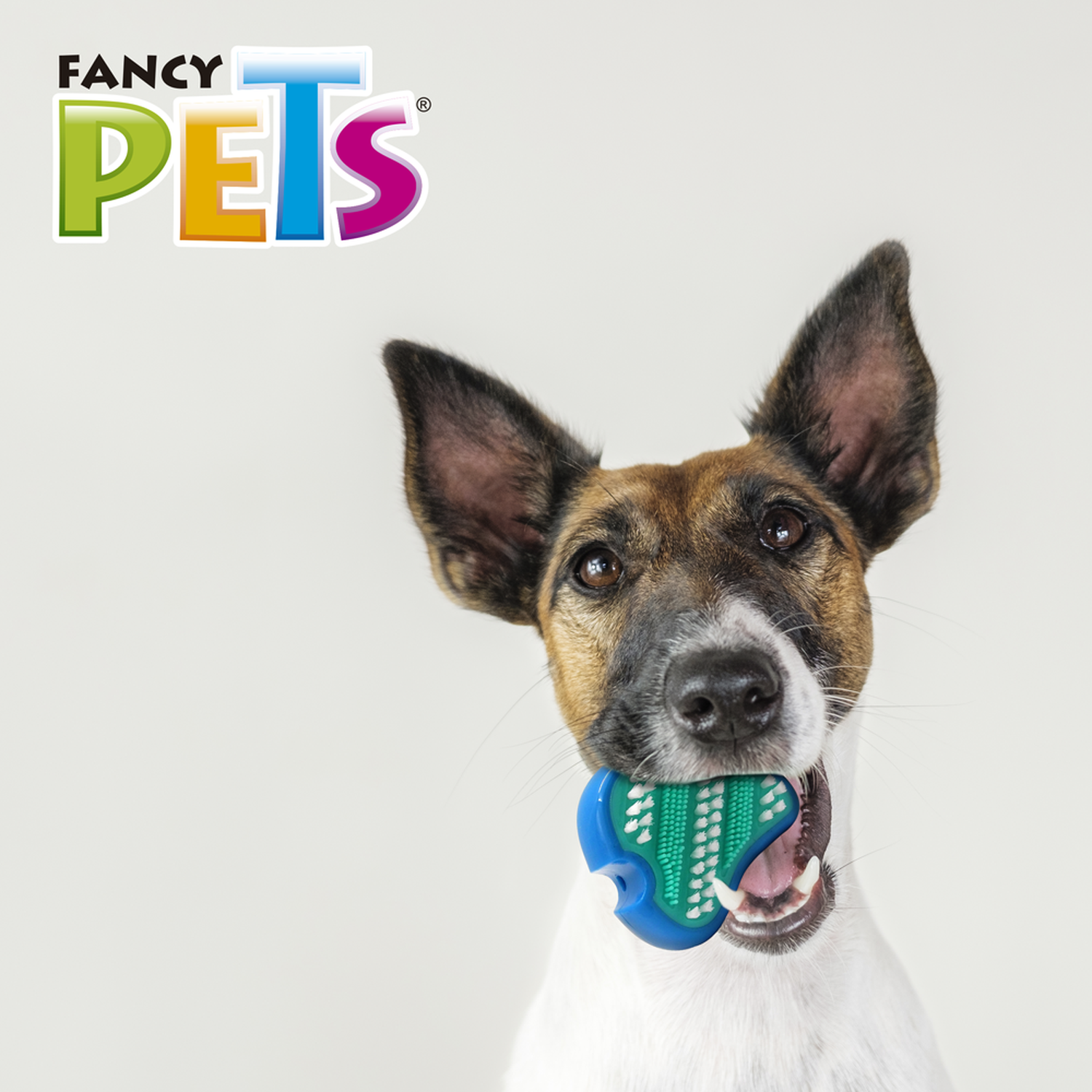 Fancy Pets juguete filete cuidado dental cepillo para perros