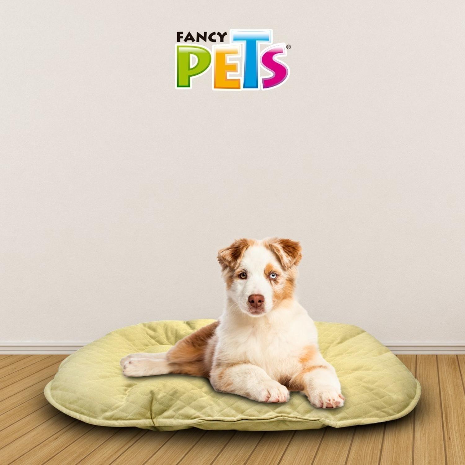 Fancy Pets Cojín Para Cama De Plástico Grande para perros