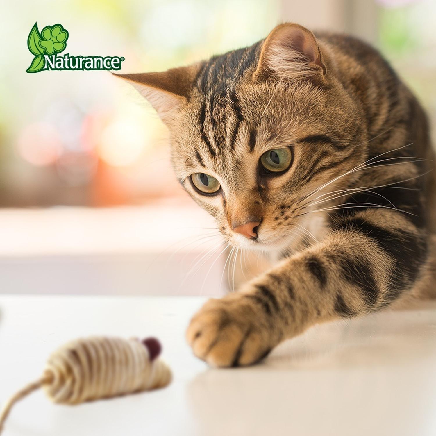 Naturance Juguete Ecologico Para Gato modelo Ratones 1